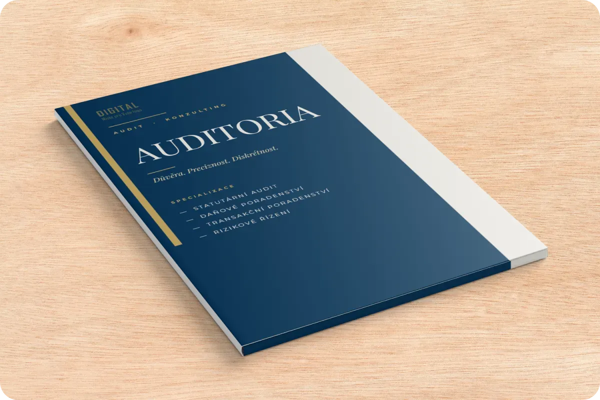 0026-DSK-F Audit Premium