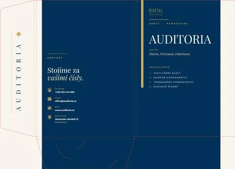 0026-DSK-F Audit Premium