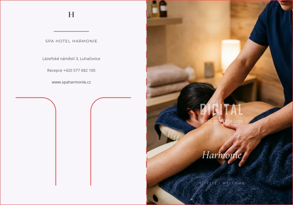 0033-PZD-F Spa Harmonie